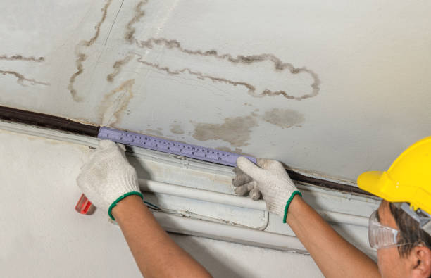 Reliable Flood Cleanup contractor in Livonia, MI by Water Damage Irwin